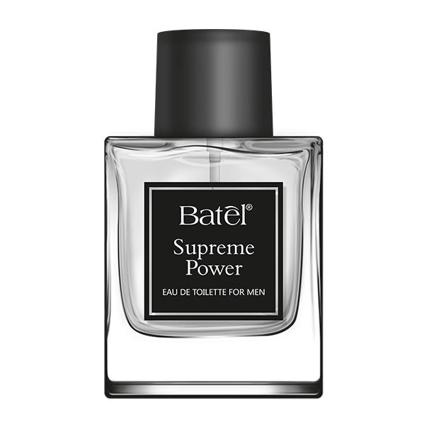 Вода туалетная Supreme Power (Суприм Пауэр)